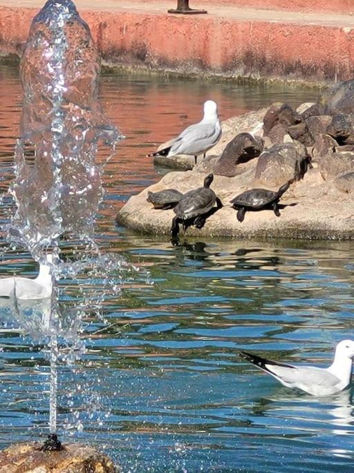 Nice Holidays Apartment In Torreveja, Torrevieja Luaran gambar